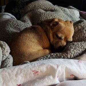 Meet your Posher, Tara